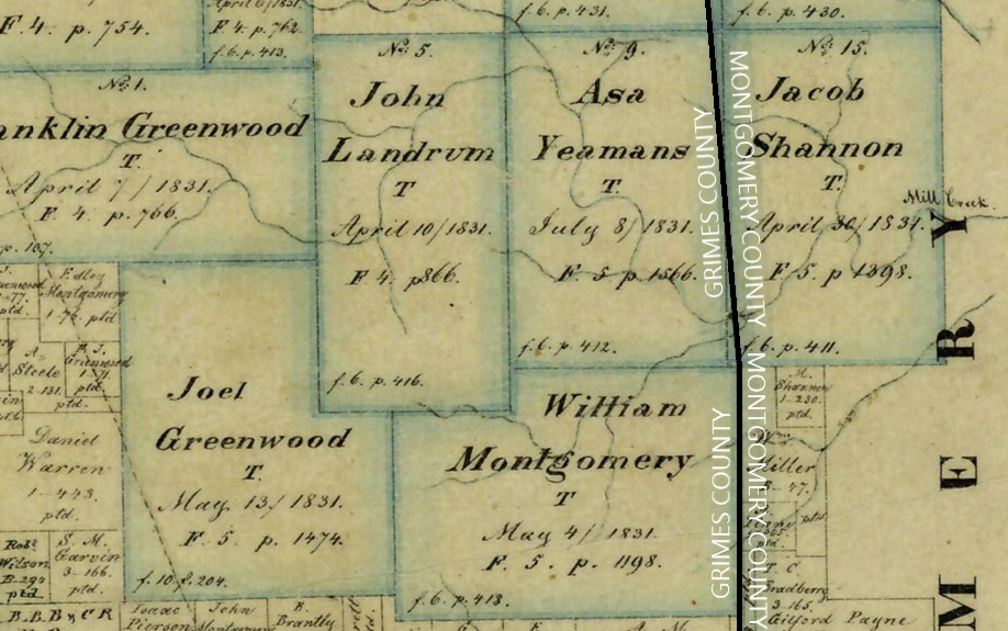 1858 Map of Grimes County without markings